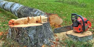 Best Tree Risk Assessment  in Ogdensburg, NJ